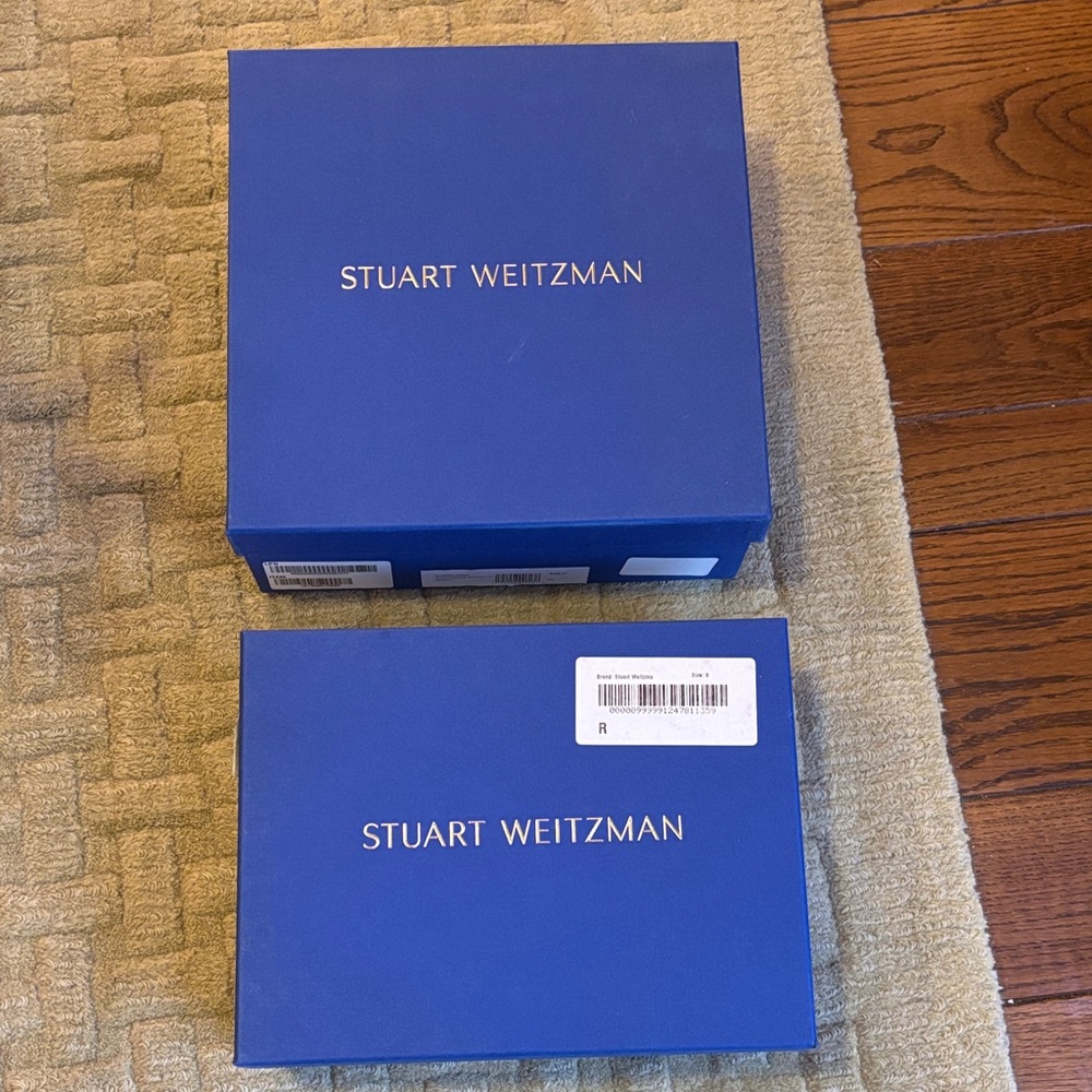 Stuart Weitzman Cobalt Blue Shoe Boxes - Set of 2